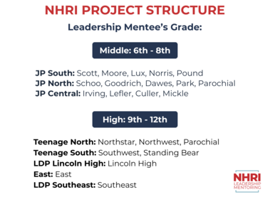 Picture of NHRI project structure